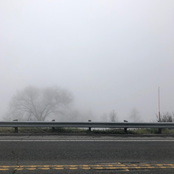 I'm Going Crazy (But That's Nothing New)