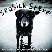 You Can't Teach An Old Dog New Tricks by Seasick Steve