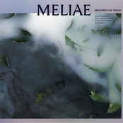 Meliae