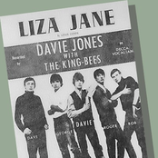 davie jones and the king bees