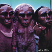 Asylum