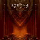 Immersed in the Transcendent Veil