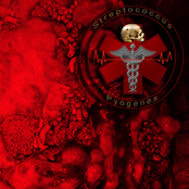 Forensic Entomological Decomposition