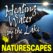 Healing Water by the Lake (Nature Sounds)