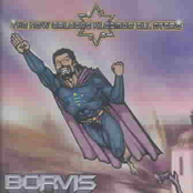 Borvis