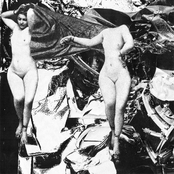 There is a hole at the center of everything and it's always growing