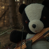 Don't Turn Your Back On the Bear