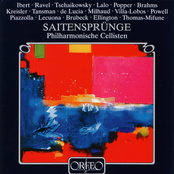 Saitensprünge