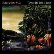 Tango In The Night by Fleetwood Mac