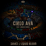 SAVEJ: Cielo Aya