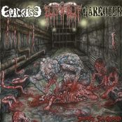 Sewerage Slaughtered