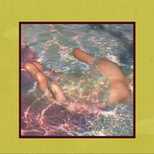 Wet Hands, Damp Wrists