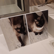 Bandcamp Compilation