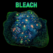 Bleach