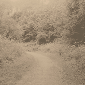 Journey Home