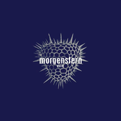 Cold by Morgenstern