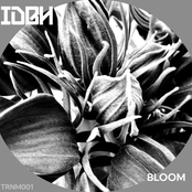 Bloom EP