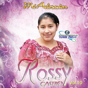 Mi Adoracion, Vol. 10