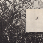 Å Skape Rom For Ærefrykt