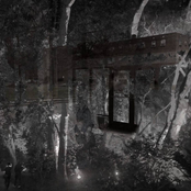 The Lives and Stipulations of the Weakened