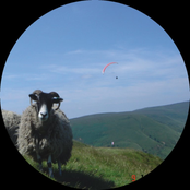 confederation trough