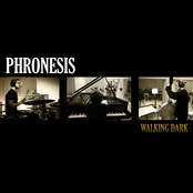 Democracy by Phronesis