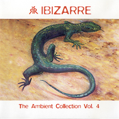 The Ambient Collection Vol. 4