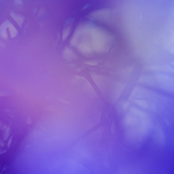 submerged : stalactites