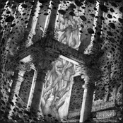 Bedsore - Mortal Incarnation split