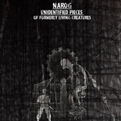 Unidentified Pieces Of Formerly Living Creatures