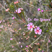 Ca' the Yowes - Single