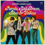 Purple, Red, Green, Blue & Yellow