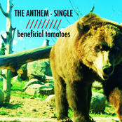 The Anthem - Single