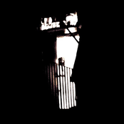 The Complex Void Of Negativity