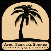 Afro Tropical Soundz, Vol. 1