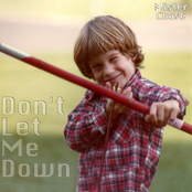 Don't Let Me Down - Single