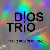 Litter Box Sessions
