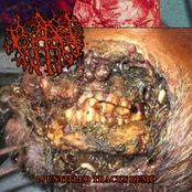 15 Untitled Tracks Demo