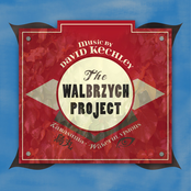 The Walbrzych Project: Music by David Kechley
