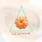 vox castoridae