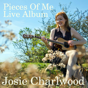 Feeling Blind by Josie Charlwood