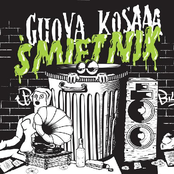 guova/kosaaa