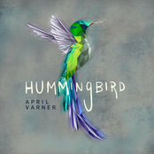 April Varner: Hummingbird