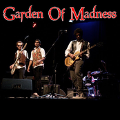 Garden Of Madness