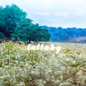 Lullaby