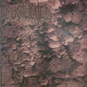 Profundo Frofui Profusum