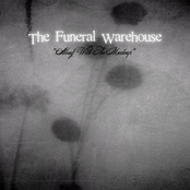 Fault Line by The Funeral Warehouse