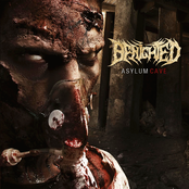 Let The Blood Spill Between My Broken Teeth by Benighted