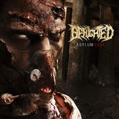 Prey by Benighted