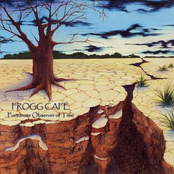 Reluctant Observer by Frogg Café